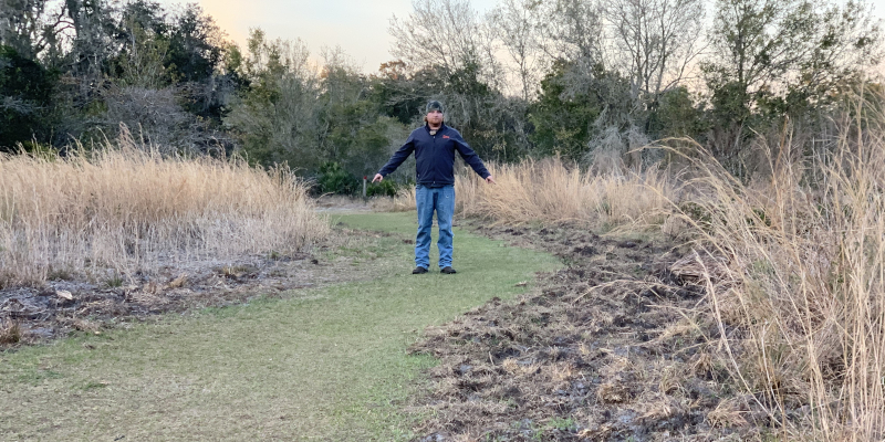 Feral Hog Damage in Riverview, Florida