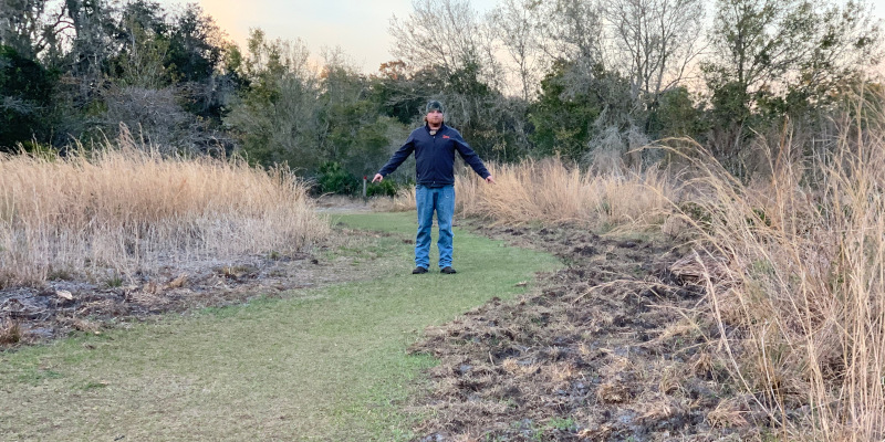 Feral Hog Damage in Odessa, Florida